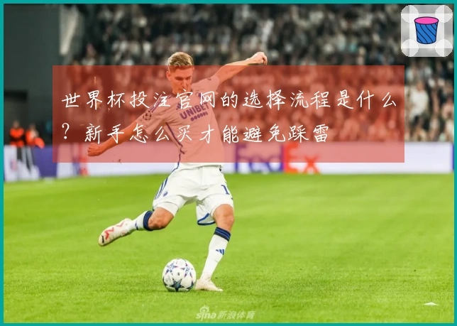 世界杯投注官网的选择流程是什么？新手怎么买才能避免踩雷