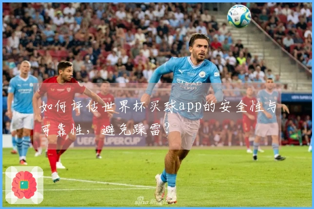如何评估世界杯买球app的安全性与可靠性，避免踩雷？